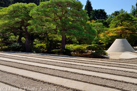 京を歩く～洛東「月の寺院、慈照寺 銀閣」_b0155692_23233016.jpg