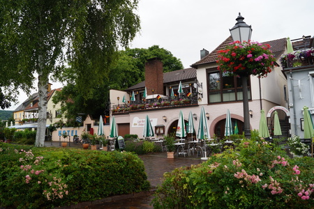 d0181492_1795725.jpg