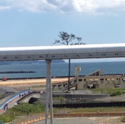 三陸 海 輝く_f0346597_11454270.jpg