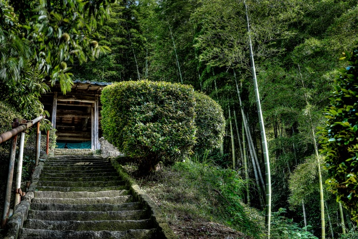 名も無き見知らぬ神社_e0135098_66099.jpg