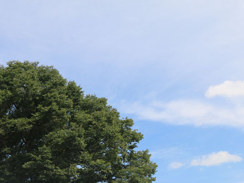 c0140599_17332263.jpg