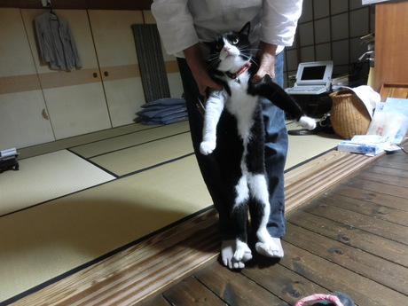 ピース体操しまーす_a0203003_20234394.jpg
