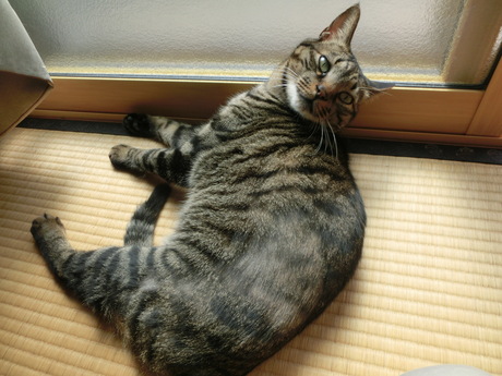 ピース体操しまーす_a0203003_20243042.jpg