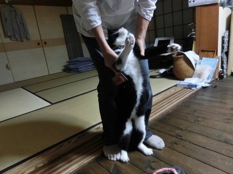 ピース体操しまーす_a0203003_2024894.jpg