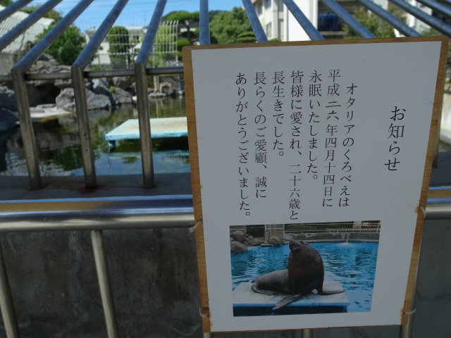 渋川マリン水族館＠岡山県玉野市渋川_f0197703_15242051.jpg