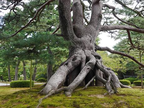 初秋の癒し旅☆金沢・兼六園の彩り_c0098807_19533388.jpg