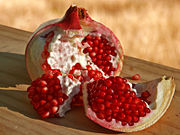 e0187908_00250516.jpg