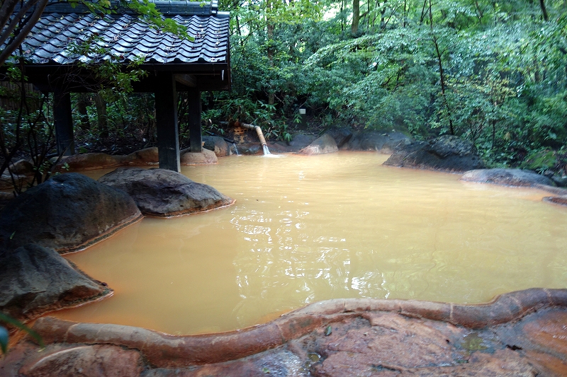九重の秘湯―川底温泉・法華院温泉・長者原温泉・筌の口温泉―_d0116009_8502396.jpg