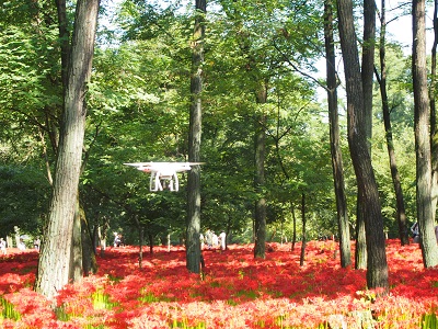 f0231309_19222421.jpg