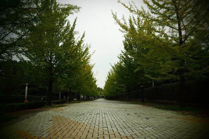a0268412_21593558.jpg