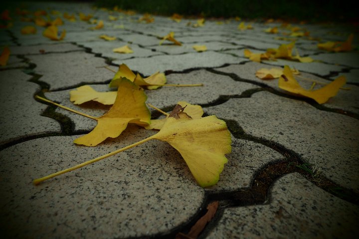 a0268412_21593866.jpg