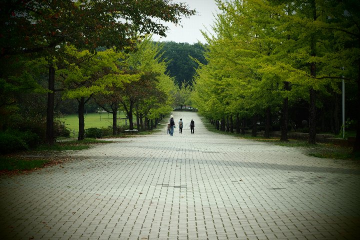a0268412_220037.jpg