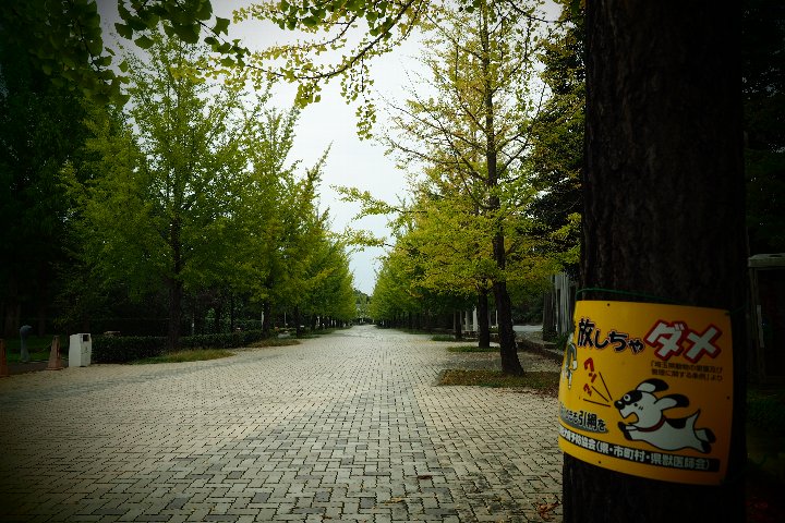 a0268412_2201569.jpg