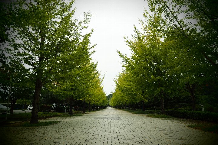 a0268412_220597.jpg