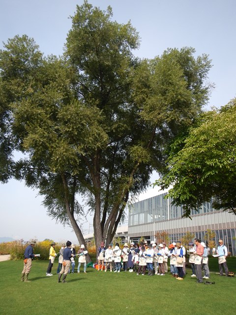 e0336214_1555759.jpg