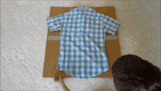 e0255717_15545781.gif