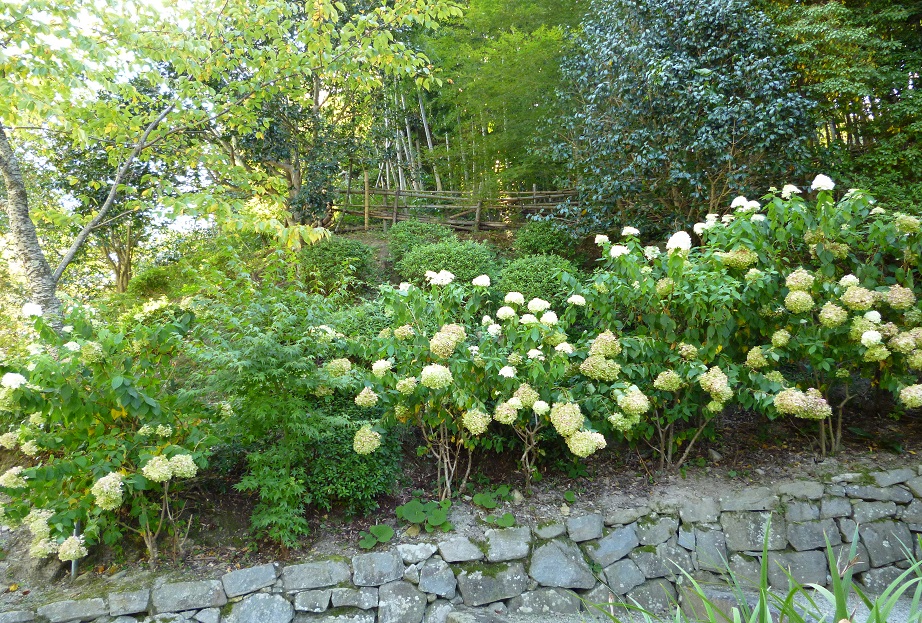 西国三十三か所巡り　第二十五番札所　御嶽山　清水寺へ_f0228619_14305120.jpg