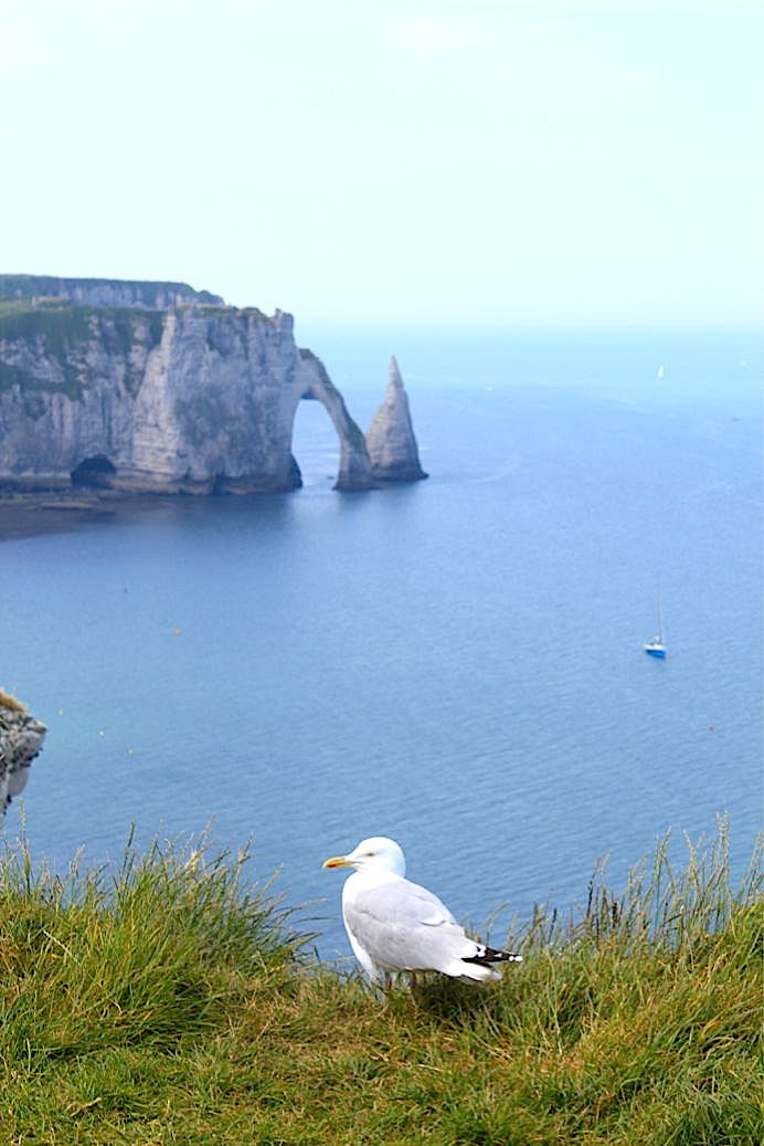 ノルマンディ　エトルタ(Normandie Etretat)_b0171423_1031771.jpg