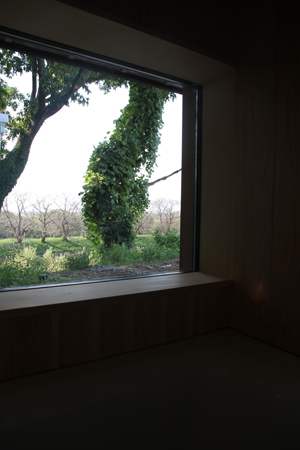つくばみらい市・「桜並木に寄り添う家」完成見学会のお知らせ 飯田貴之建築設計事務所_b0195324_12142912.jpg