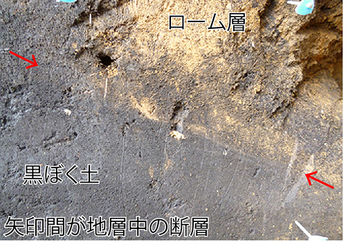 トレンチ掘削調査 地形屋の日々の仕事 トレンチ掘削調査 地形屋の日々の仕事