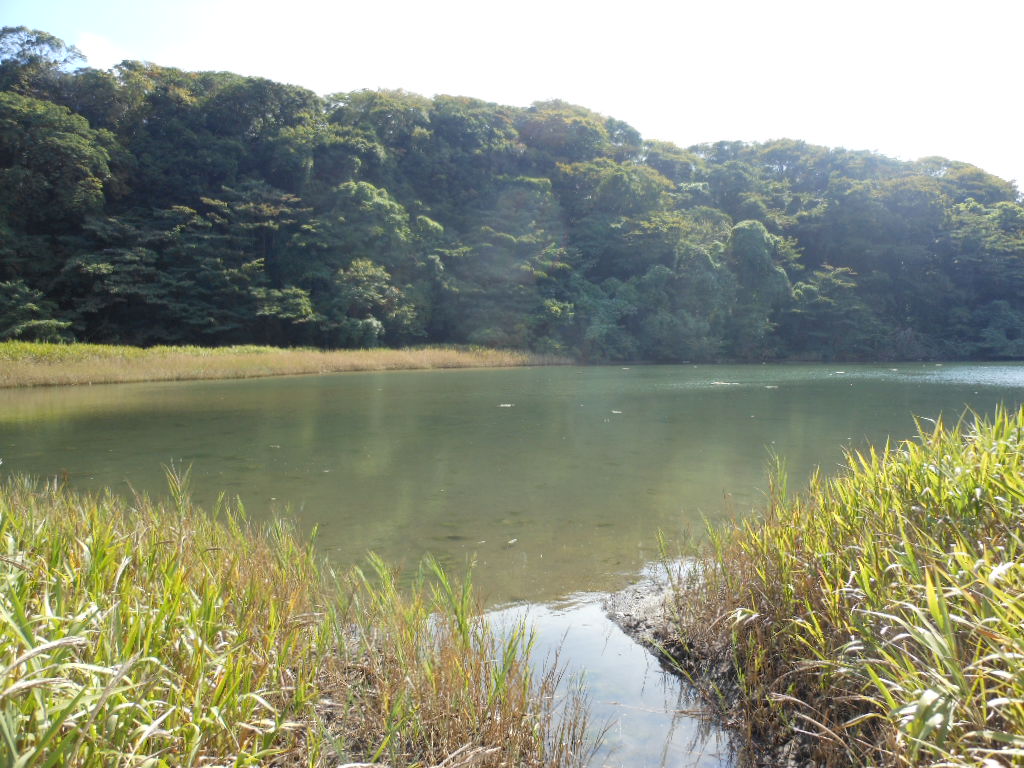 e0240925_1725890.jpg