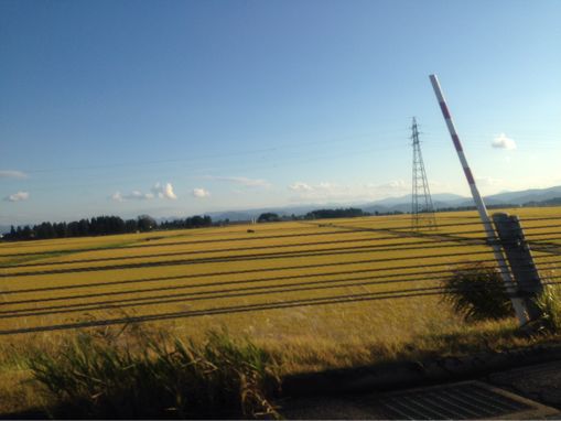 b0164428_01411.jpg