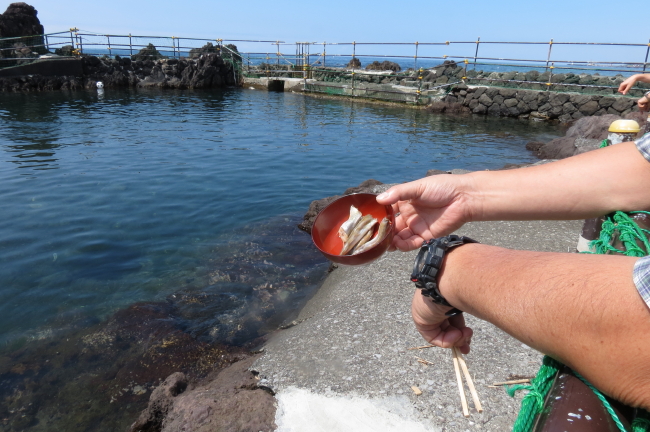 道北の旅　#4　観光バスで利尻島巡り　_f0017530_20402361.jpg