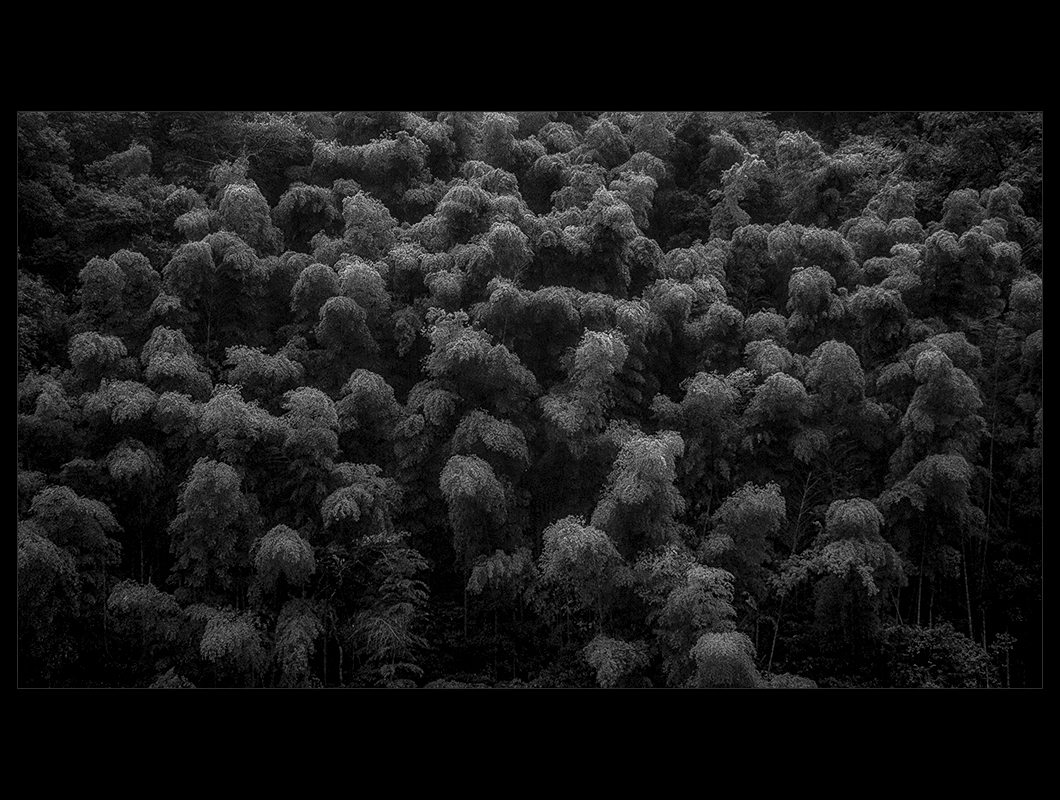 d0004832_1841943.jpg