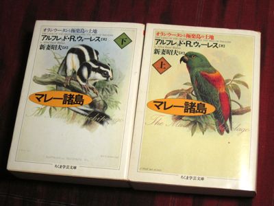 読書メモ:旅行記考/『マレー諸島』再読中_d0010432_19583554.jpg