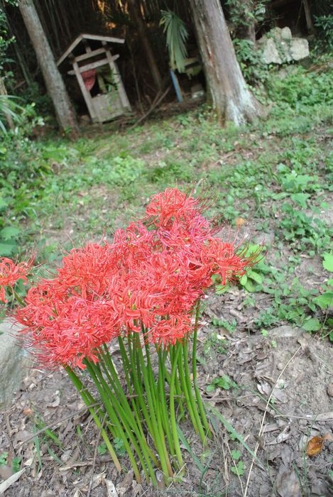 e0089232_22042518.jpg
