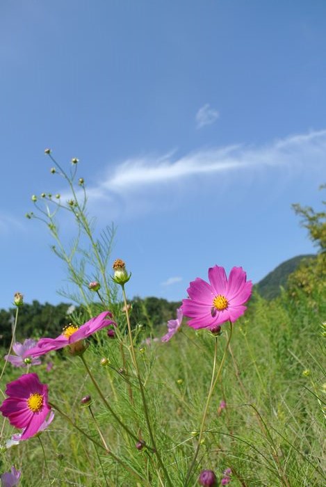 e0089232_22042565.jpg