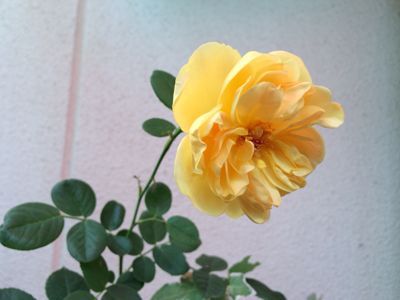f0327534_14461469.jpg