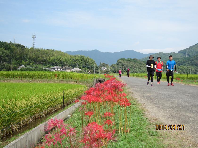c0142535_20281795.jpg