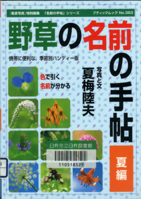 鶏頭の花を数えたら30本！_e0272335_17202724.jpg