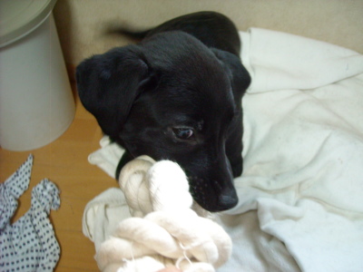 f0250542_00414397.jpg
