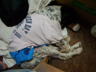 f0250542_20104503.jpg