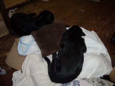 f0250542_20112462.jpg