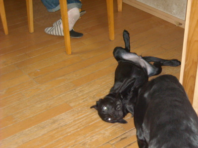 f0250542_20114962.jpg