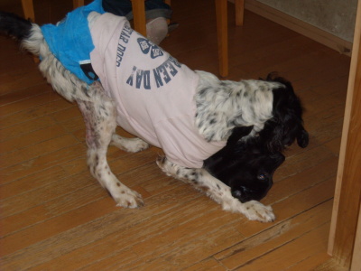 f0250542_20120321.jpg