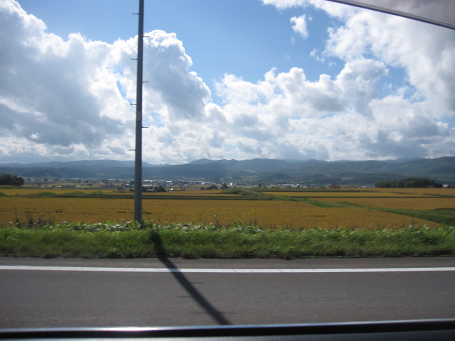 a0279743_744352.jpg