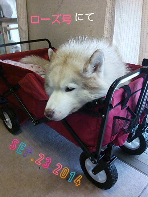e0121548_9301283.jpg