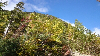 b0148050_16515866.jpg