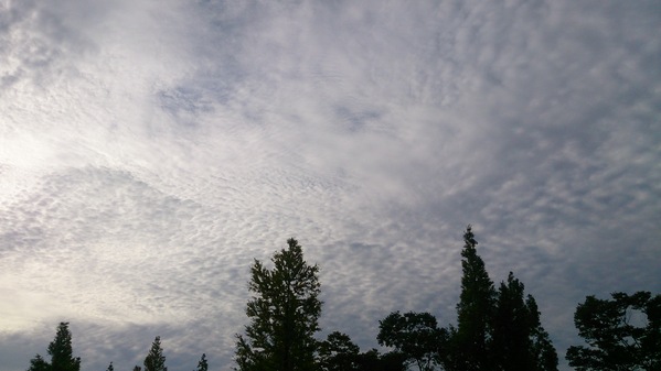 b0299252_22242983.jpg