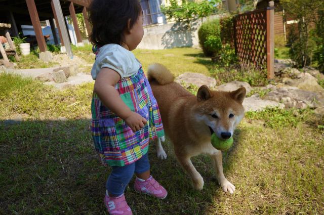 3ヶ月ぶりに!_e0241952_2271124.jpg