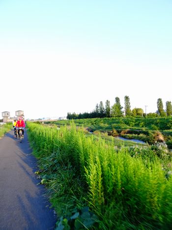 e0140354_12155851.jpg