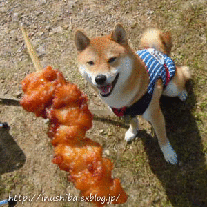 a0286855_19113143.gif