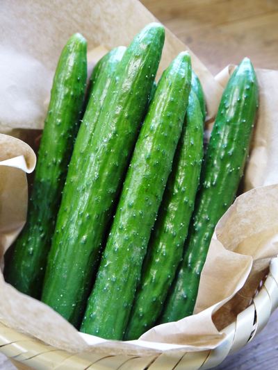 夢キュウリ 好評発売中!最初の脇芽から育った一番美味かキュウリば出すばい!!成長の過程その1_a0254656_2095413.jpg