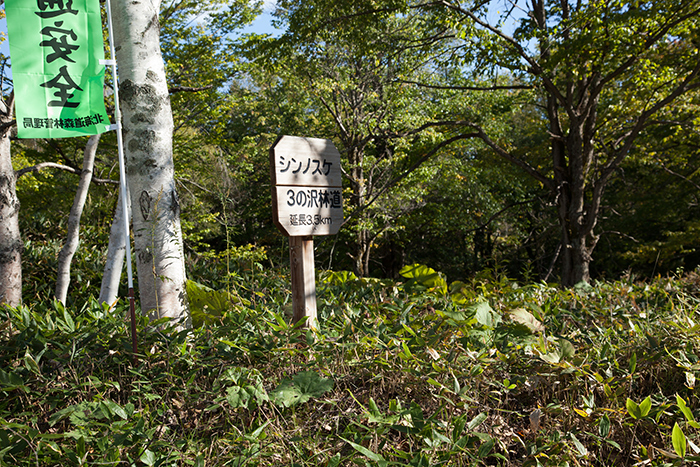  西クマネシリ岳　【 おっぱい山　登ってきました♪】本編_f0054366_11161557.jpg