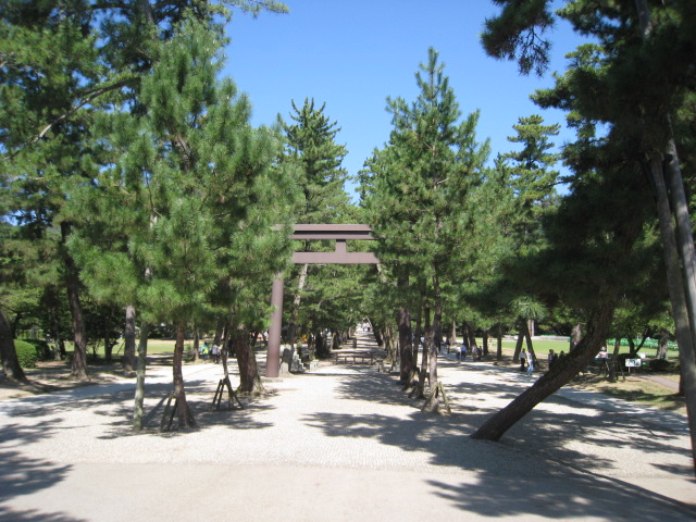 d0168669_1735547.jpg