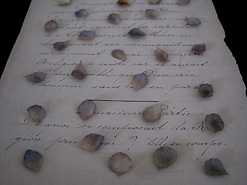 f0134670_05434.jpg